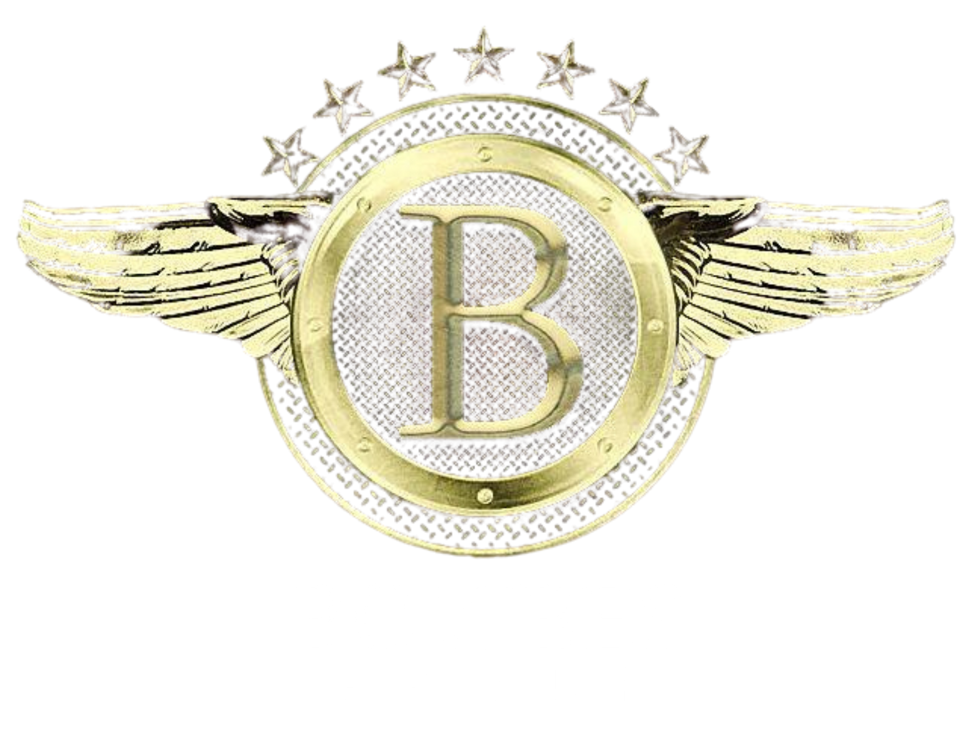Bovibes Logo
